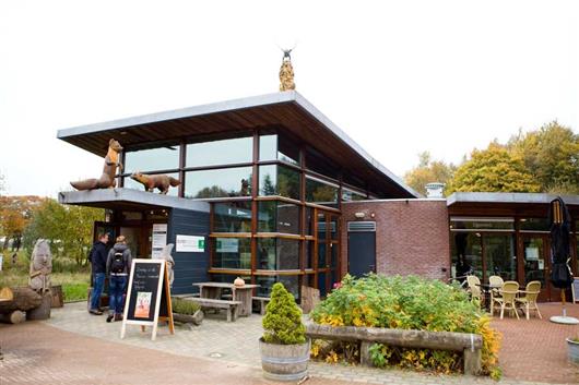 buitencentrum drents friese wold gallery 1