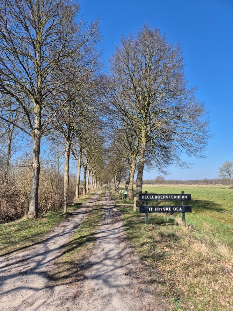 Stellingenpad etappe 12, Zandhuizen - Oldeberkoop - Nijeberkoop 12 km 27 20250322 124856