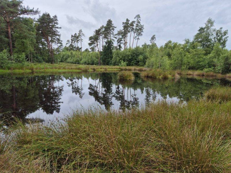 Stellingenpad etappe 13, Nijeberkoop - Donkerbroek 12 km 5 20250627 104140
