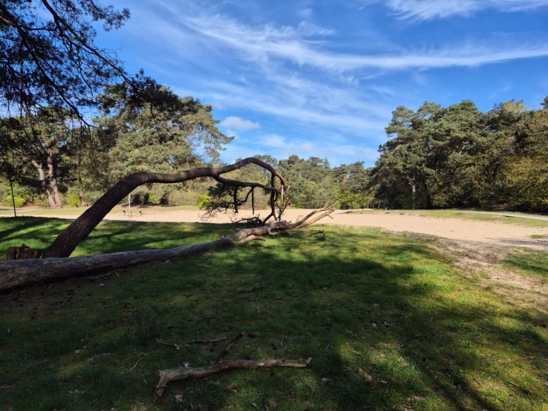 20260426 103947