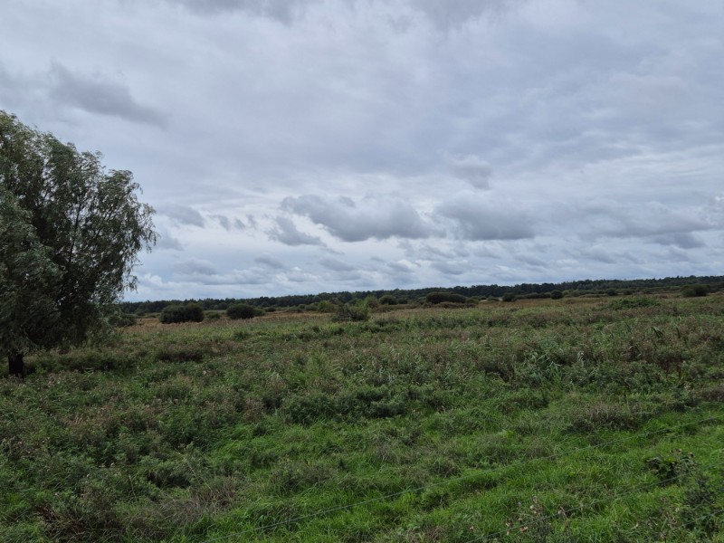 Groeningenpad etappe 09 Kropswolde-Westerbroek 9,7 km 3 20260913 134416