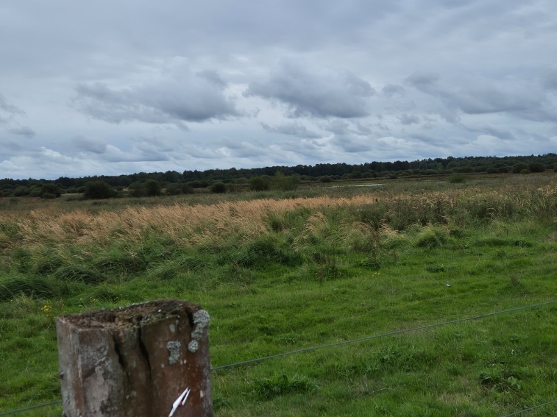 Groeningenpad etappe 09 Kropswolde-Westerbroek 9,7 km 4 20260913 134704