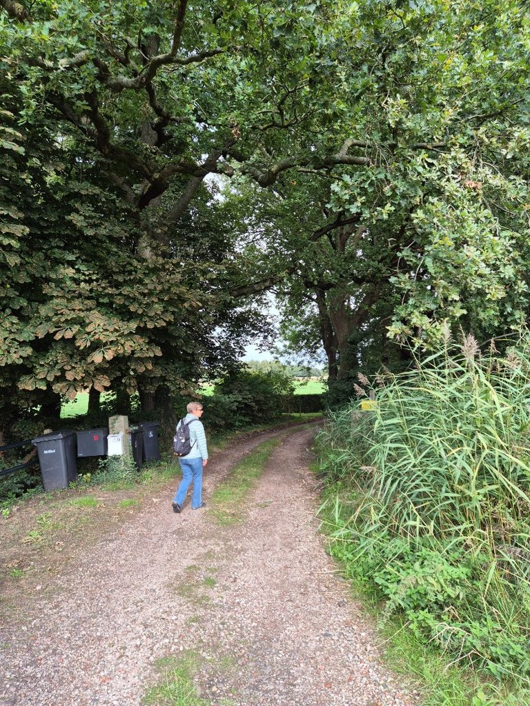 Groeningenpad etappe 09 Kropswolde-Westerbroek 9,7 km 9 20260913 152135 768x1024 1