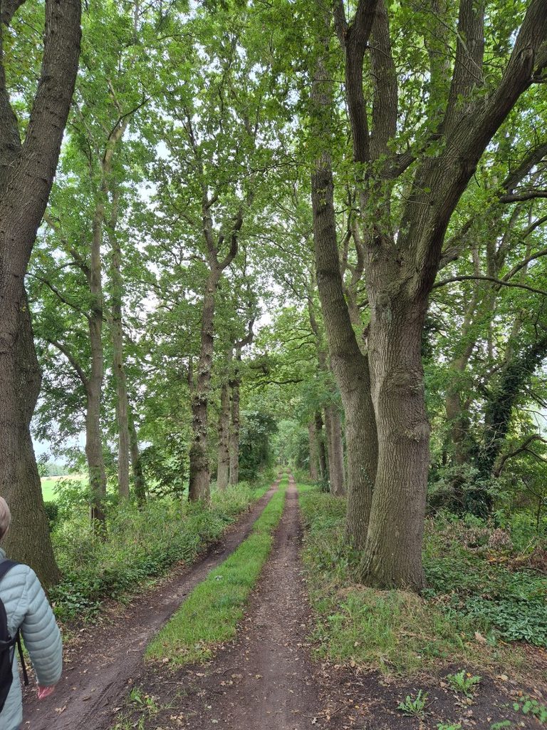 Groeningenpad etappe 09 Kropswolde-Westerbroek 9,7 km 10 20260913 152216 768x1024 1