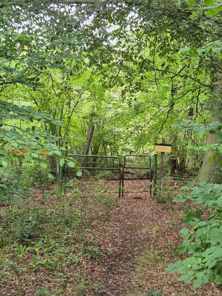 Groeningenpad etappe 09 Kropswolde-Westerbroek 9,7 km 14 20260913 153435 768x1024 1