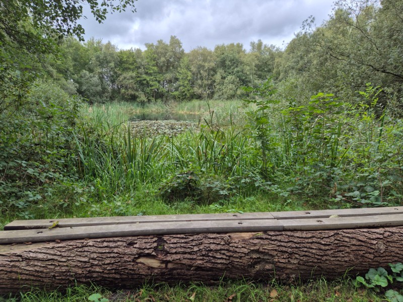Groeningenpad etappe 09 Kropswolde-Westerbroek 9,7 km 18 20260913 154758