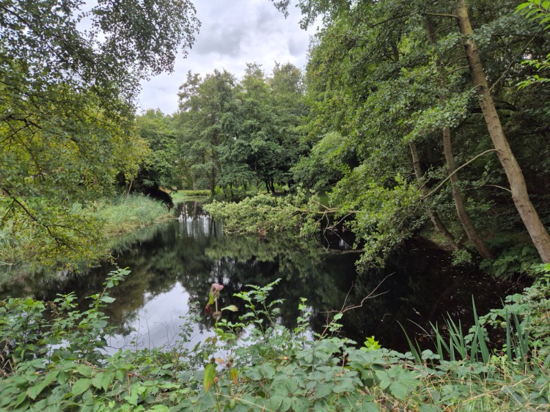 Groeningenpad etappe 09 Kropswolde-Westerbroek 9,7 km 19 20260913 155140