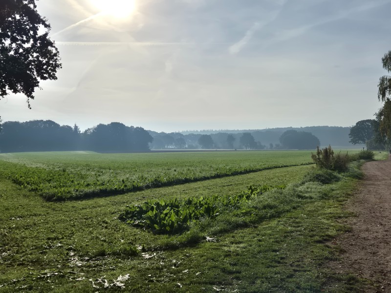 Wandelroute Lochem - Lochemse Berg 10 km 3 20261003 100004