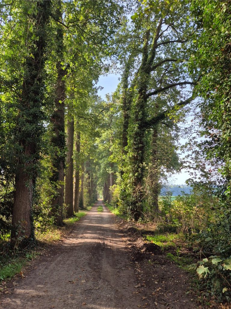 Wandelroute Lochem - Lochemse Berg 10 km 9 20261003 102613 768x1024 1
