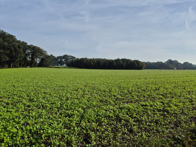 Wandelroute Lochem - Lochemse Berg 10 km 10 20261003 103050