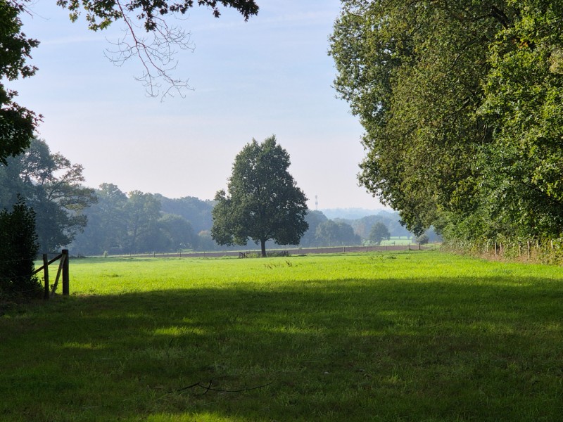 Wandelroute Lochem - Lochemse Berg 10 km 14 20261003 105528