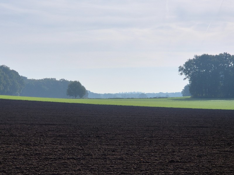 Wandelroute Lochem - Lochemse Berg 10 km 15 20261003 110118