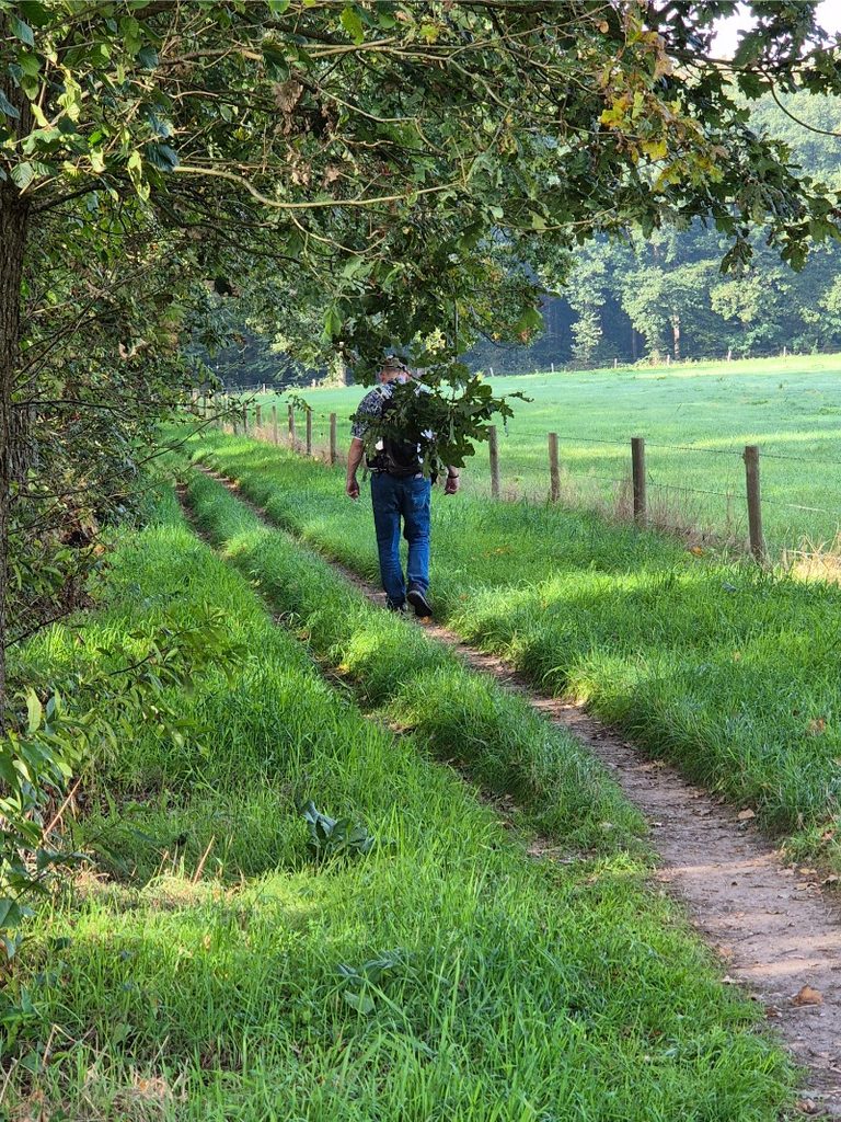 Wandelroute Lochem - Lochemse Berg 10 km 16 20261003 110122 768x1024 1
