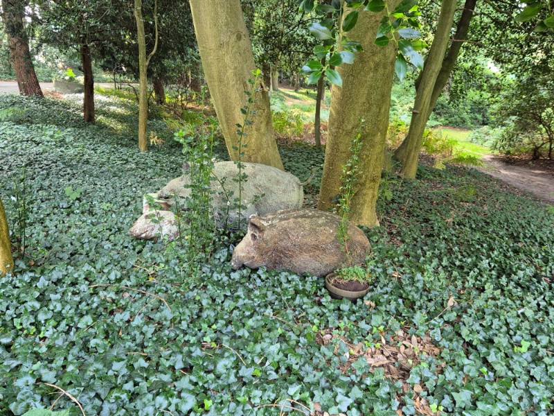 Wandelroute Lochem - Lochemse Berg 10 km 18 20261003 111128