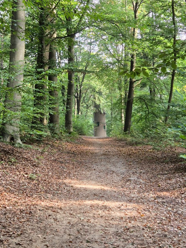 Wandelroute Lochem - Lochemse Berg 10 km 22 20261003 112713 768x1024 1