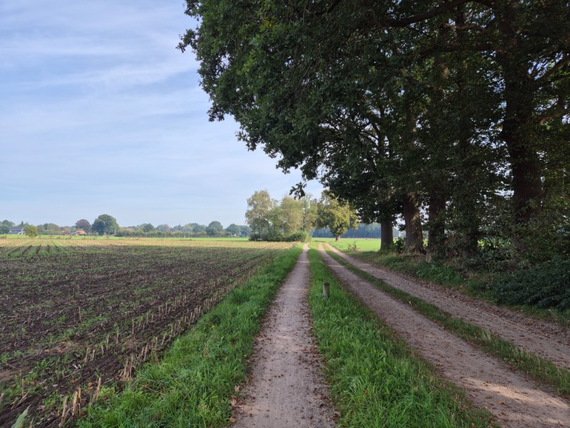 Wandelroute Lochem - Lochemse Berg 10 km 26 20261003 115059
