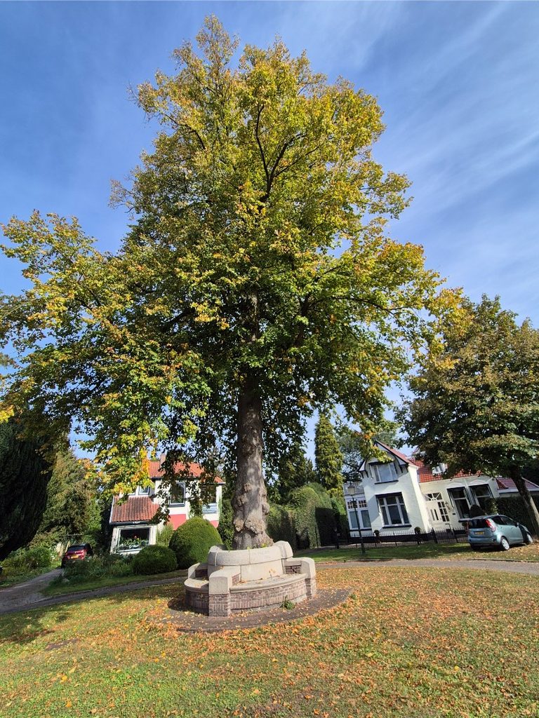 Wandelroute Lochem - Lochemse Berg 10 km 29 20261003 122155 768x1024 1